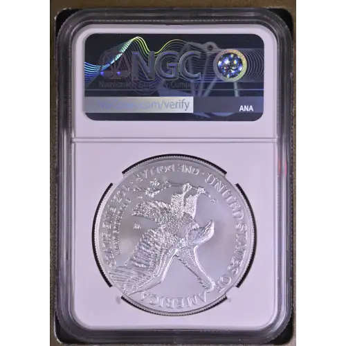 2022 W First Day of Issue Burnished Silver Eagle (3)