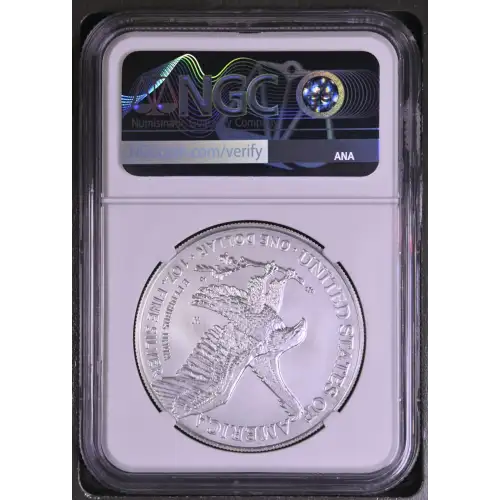 2022 W First Releases Burnished Silver Eagle (3)