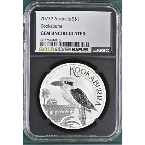 2022P Kookaburra (2)