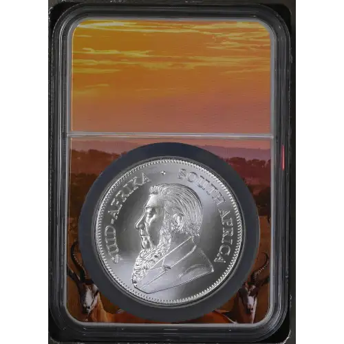 2023 Krugerrand (3)