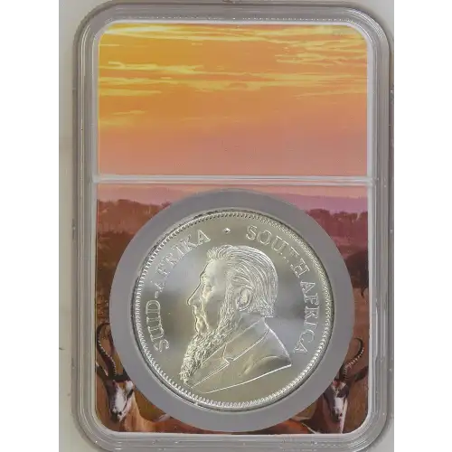 2023 Krugerrand (3)