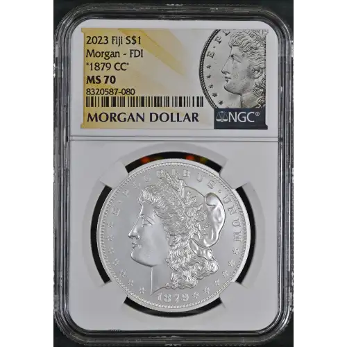 2023 Morgan - FDI 