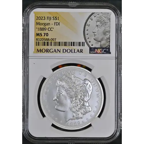 2023 Morgan - FDI 