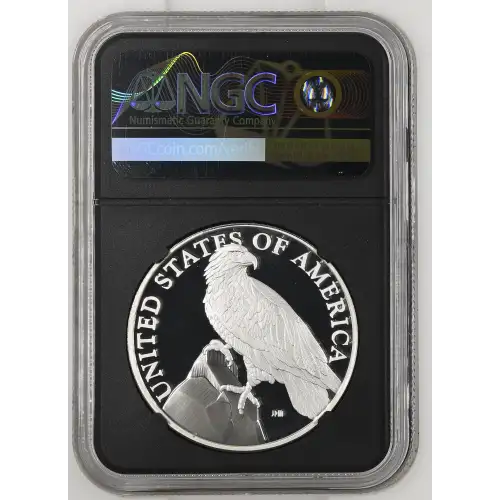 2023 P .999 Fine American Liberty Series ULTRA CAMEO (3)
