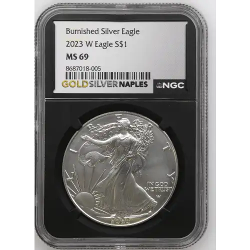 2023 W Burnished Silver Eagle (2)