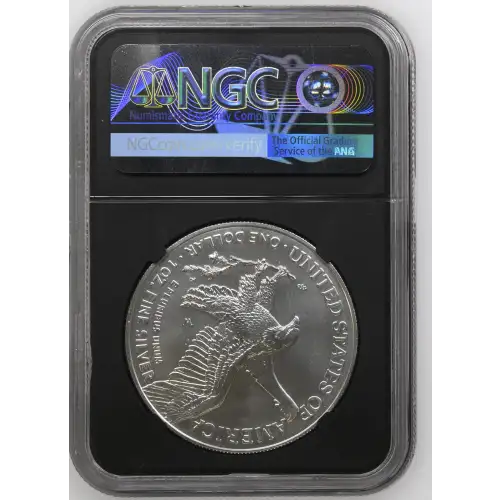 2023 W Burnished Silver Eagle (3)