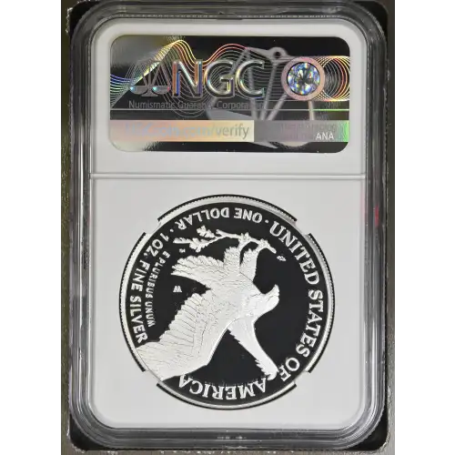2023 W  ULTRA CAMEO (3)