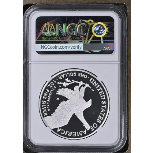 2023 W  ULTRA CAMEO (3)