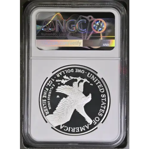 2023 W  ULTRA CAMEO (3)