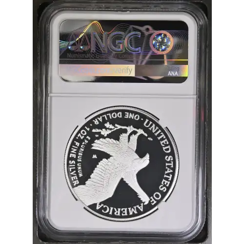 2023 W  ULTRA CAMEO (3)