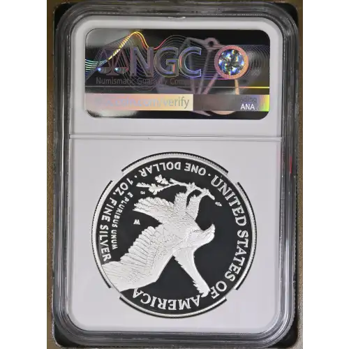 2023 W  ULTRA CAMEO (3)