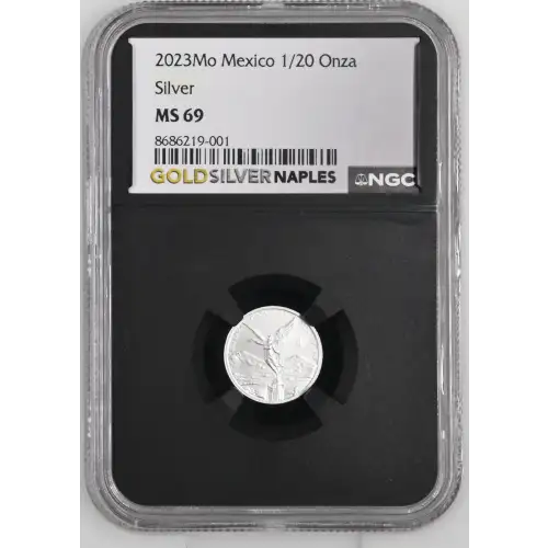 2023Mo Silver (2)