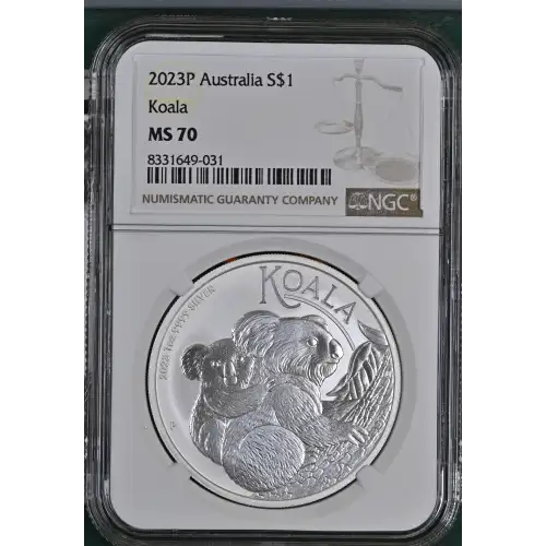 2023P Koala (2)