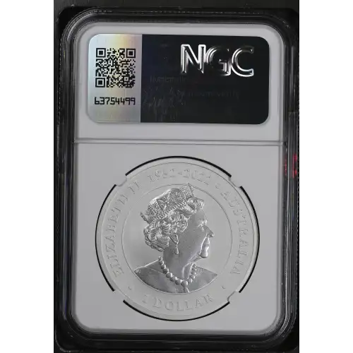 2023P Koala (3)