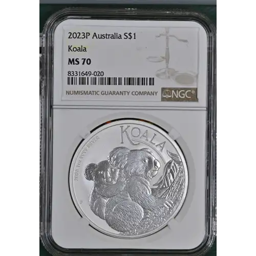 2023P Koala (2)