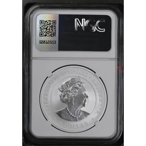 2023P Koala (3)