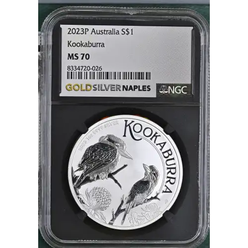 2023P Kookaburra (2)