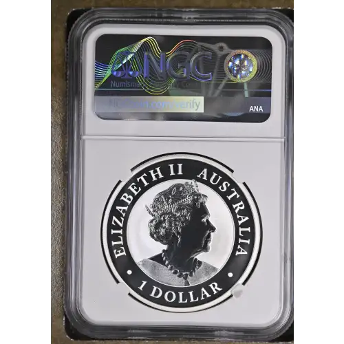 2023P Kookaburra Early Releases (3)