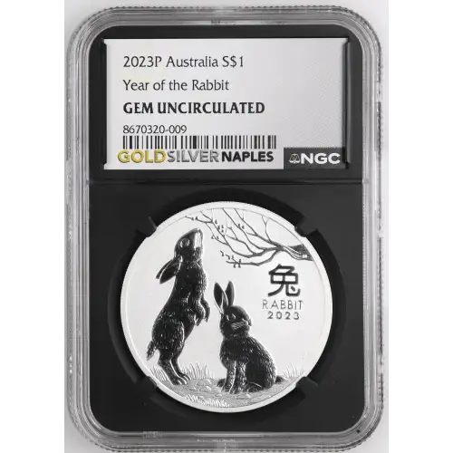 2023P Year of the Rabbit (2)
