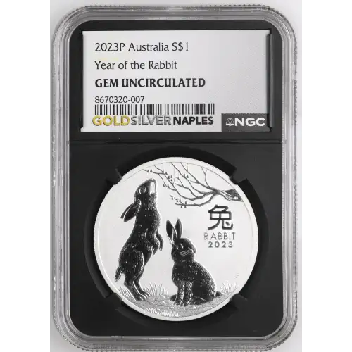 2023P Year of the Rabbit (2)