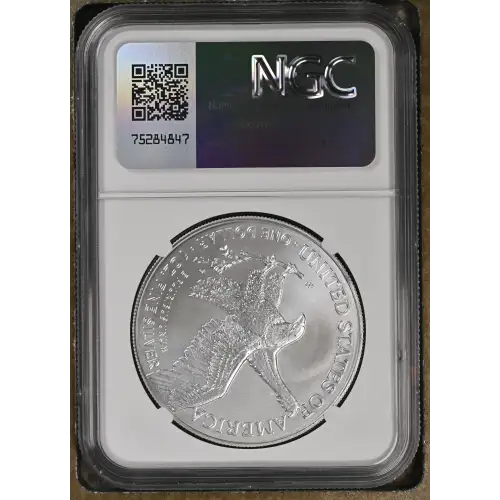 2024 (3)