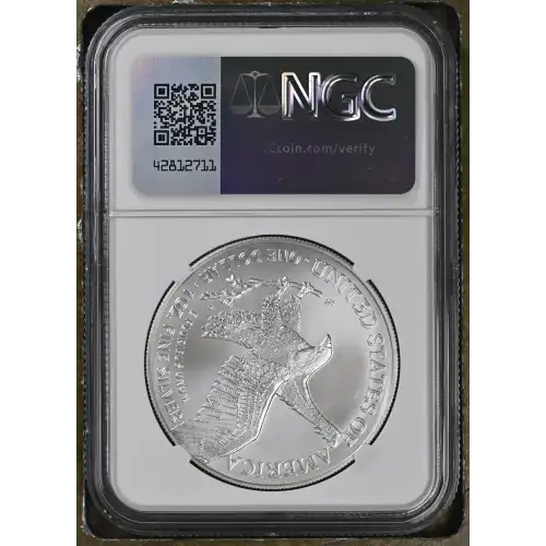2024 (3)