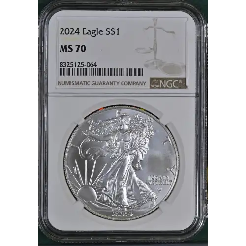 2024 (2)
