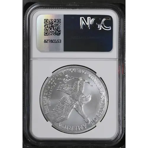2024 (3)
