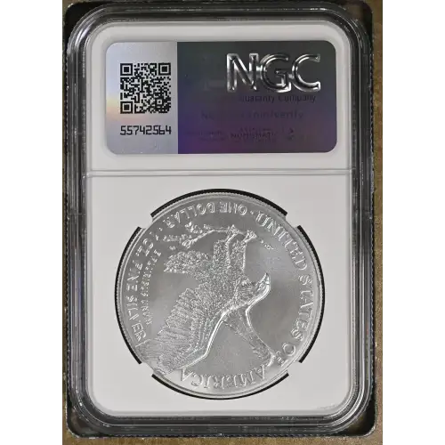 2024 (3)