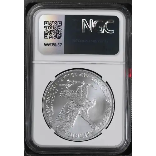 2024 (3)