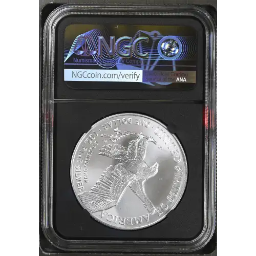 2024 (3)