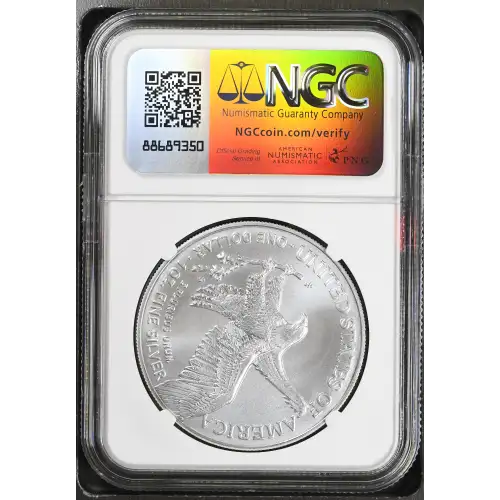 2024 (3)