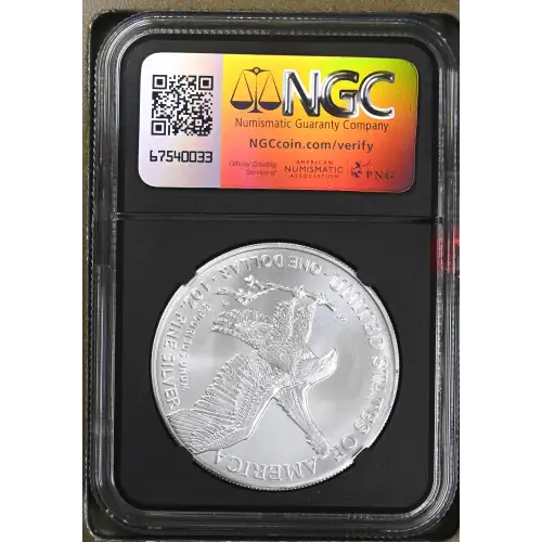 2024 (3)