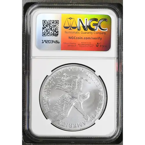 2024 (3)