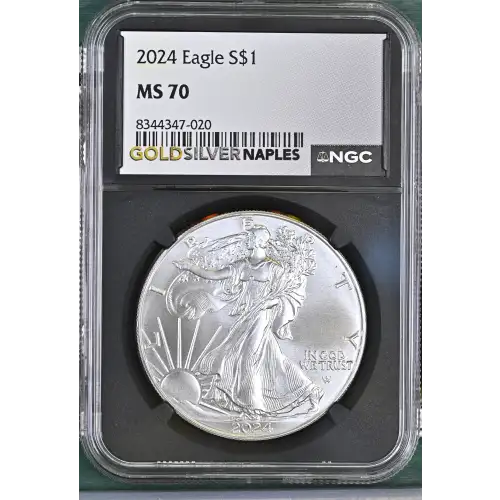 2024 (2)