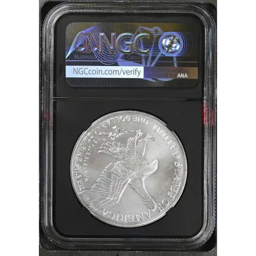 2024 (3)