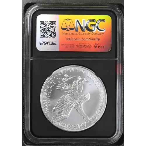 2024 (3)