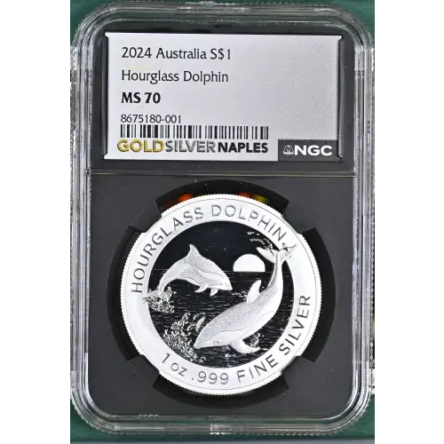 2024 Hourglass Dolphin (2)
