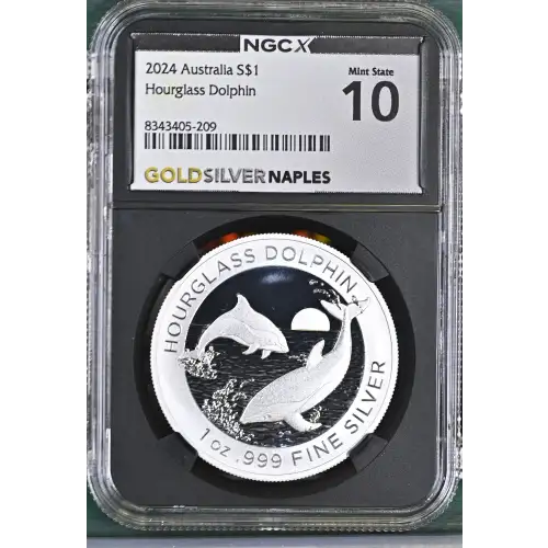 2024 Hourglass Dolphin (2)