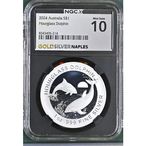2024 Hourglass Dolphin (2)