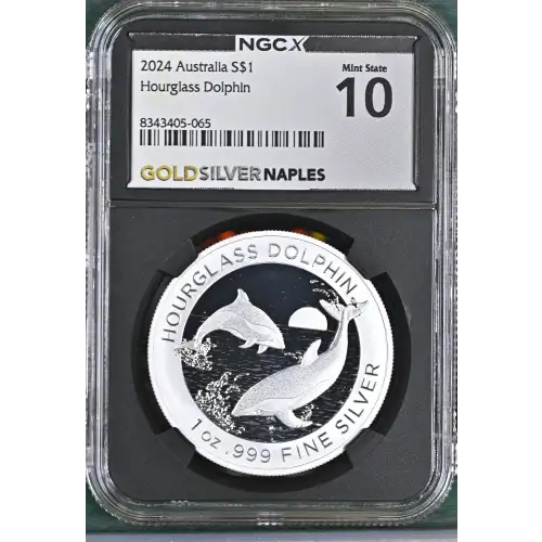 2024 Hourglass Dolphin (2)