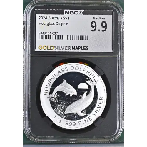 2024 Hourglass Dolphin (2)