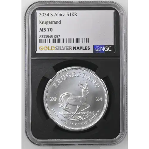 2024 Krugerrand (2)