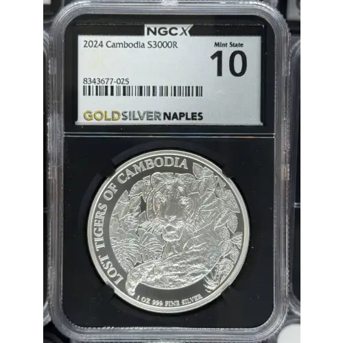 2024 Lost Tigers of Cambodia s3000r Mint State 10