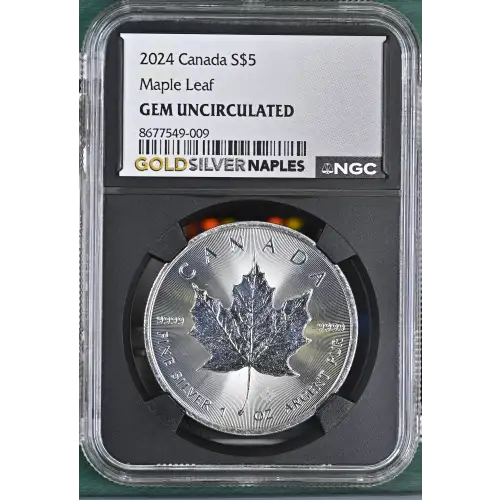 2024 Maple Leaf (2)