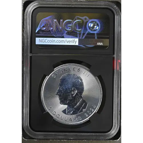 2024 Maple Leaf (3)