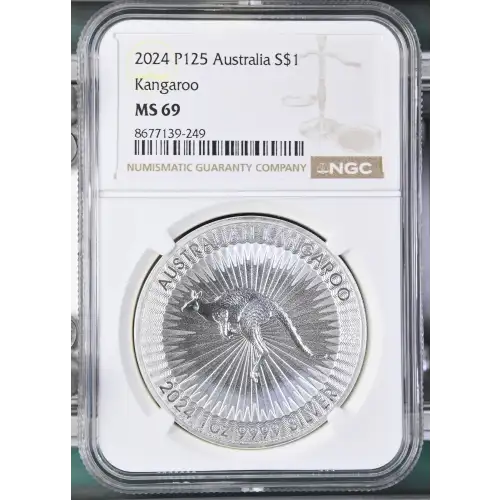 2024 P125 Kangaroo (2)