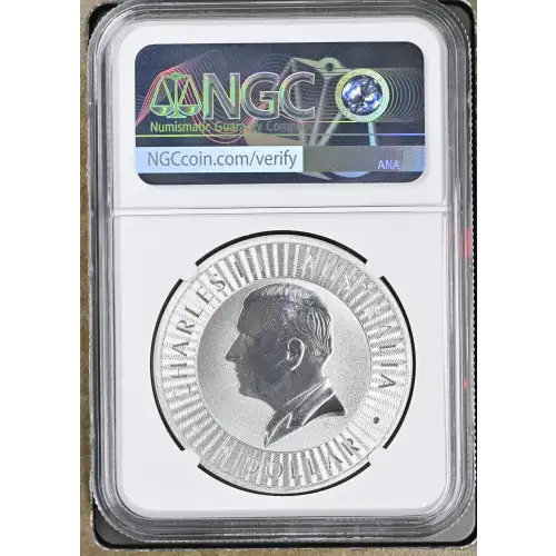 2024 P125 Kangaroo (3)
