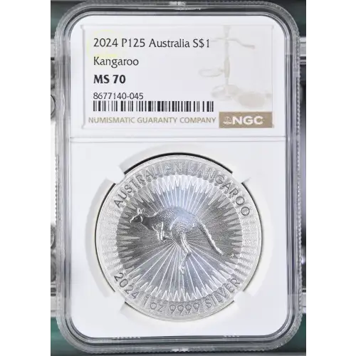 2024 P125 Kangaroo (2)