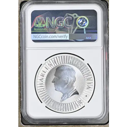 2024 P125 Kangaroo (3)